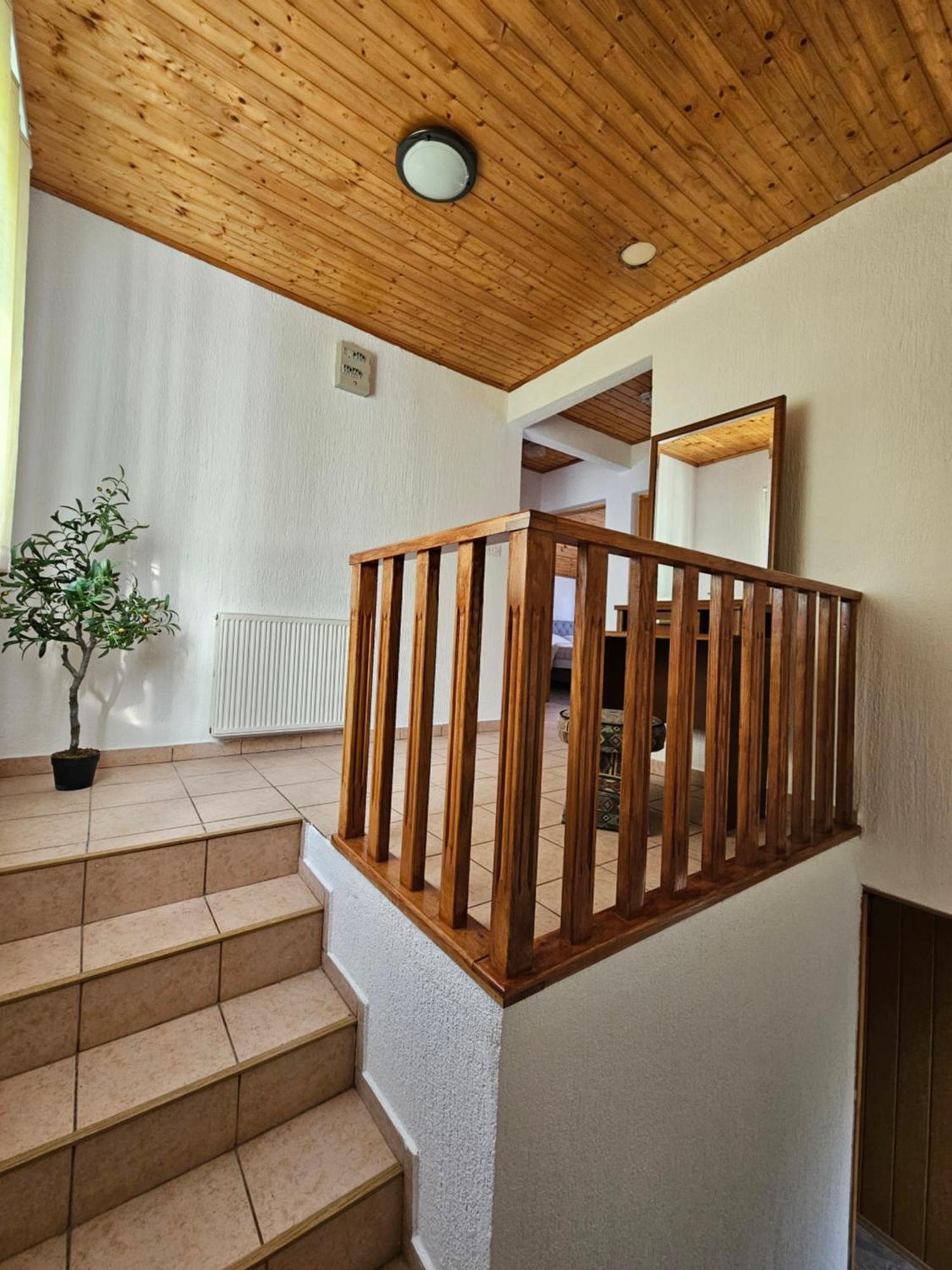 Apartman Mile - Holiday House スモーヤナク エクステリア 写真